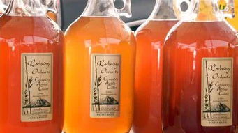 氣泡型酒精飲料檸檬堂 日本啤酒業(yè)的新勁敵與酒精飲料市場(chǎng)變革