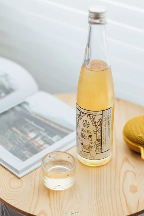 微醺時刻，甜入心扉 少女心高顏值小甜酒居家指南